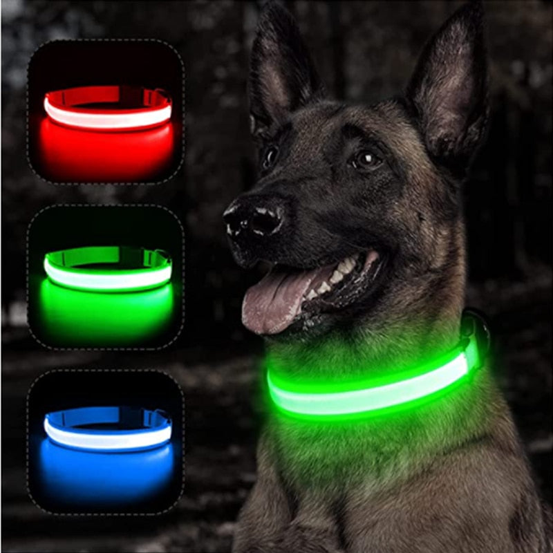 Glowing Paws - Glowing Dog Collar