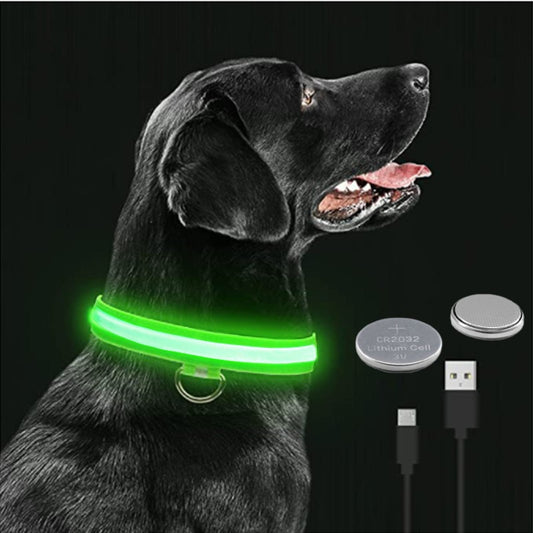 Glowing Paws - Glowing Dog Collar